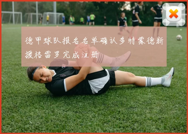 德甲球队报名名单确认多特蒙德新援格雷罗完成注册