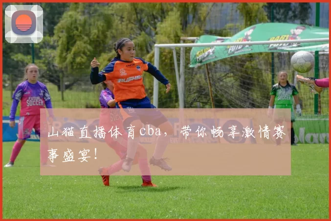 山猫直播体育cba，带你畅享激情赛事盛宴！