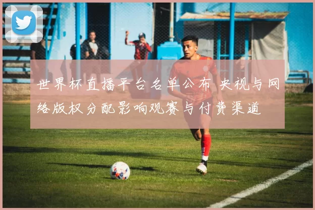 世界杯直播平台名单公布 央视与网络版权分配影响观赛与付费渠道
