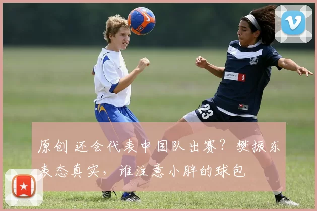 原创 还会代表中国队出赛?樊振东表态真实,谁注意小胖的球包