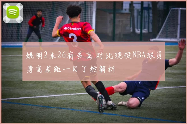 姚明2米26有多高 对比现役NBA球员身高差距一目了然解析