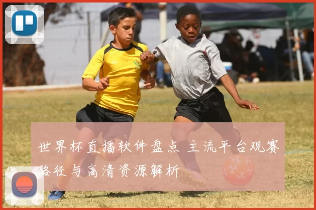 世界杯直播软件盘点 主流平台观赛路径与高清资源解析