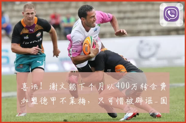 喜讯！谢文能下个月以400万转会费加盟德甲不莱梅，只可惜被辟谣_国足_泰山队_球迷